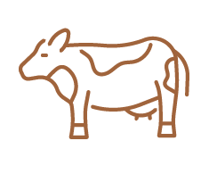 畜産研究推進分野