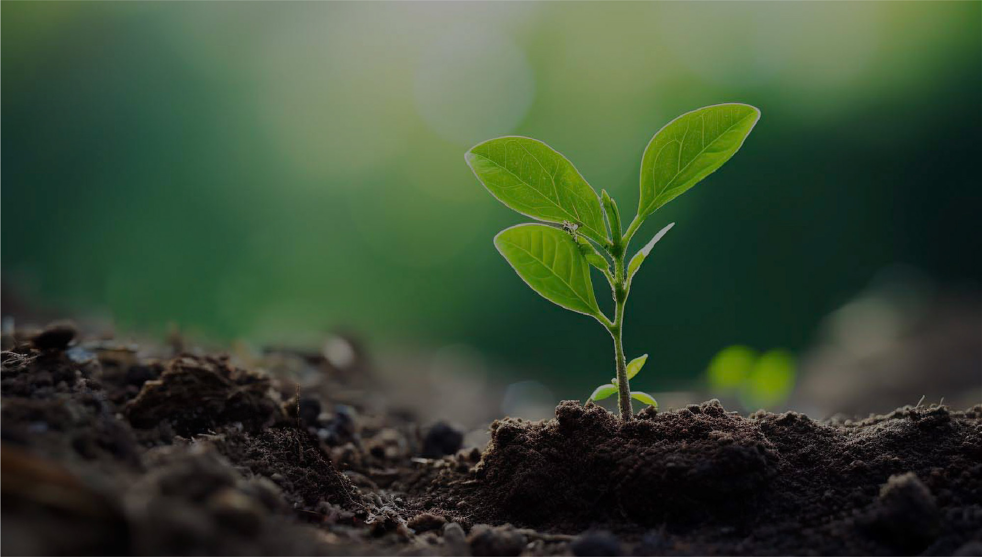 ALIHUBイメージ画像／ひとのために。食のために。地域のために。