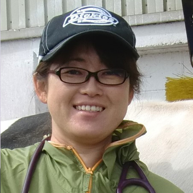 伊藤 めぐみ 准教授