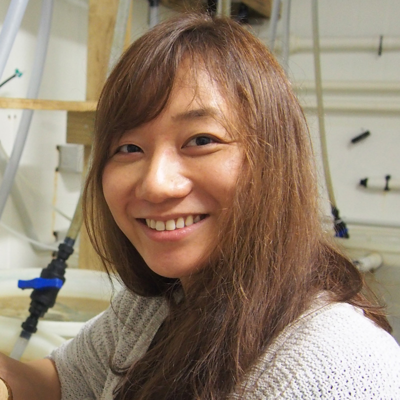 三上 奈々 准教授